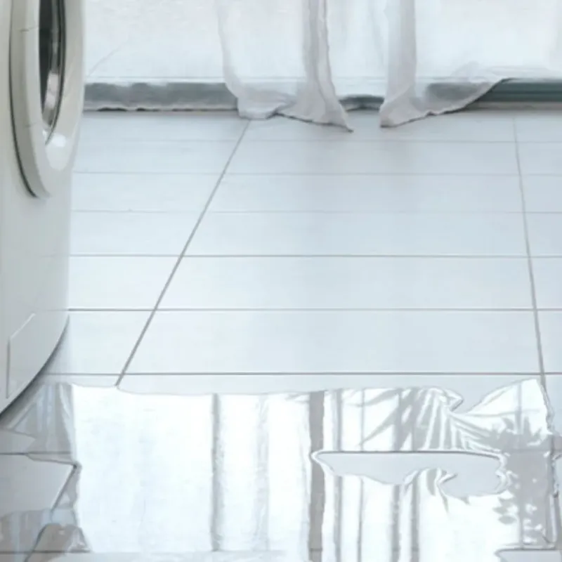 Appliance Leak Cleanup in Wollochet, WA