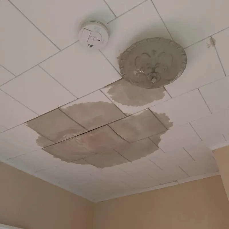 Ceiling Water Damage Repair in Wollochet, WA